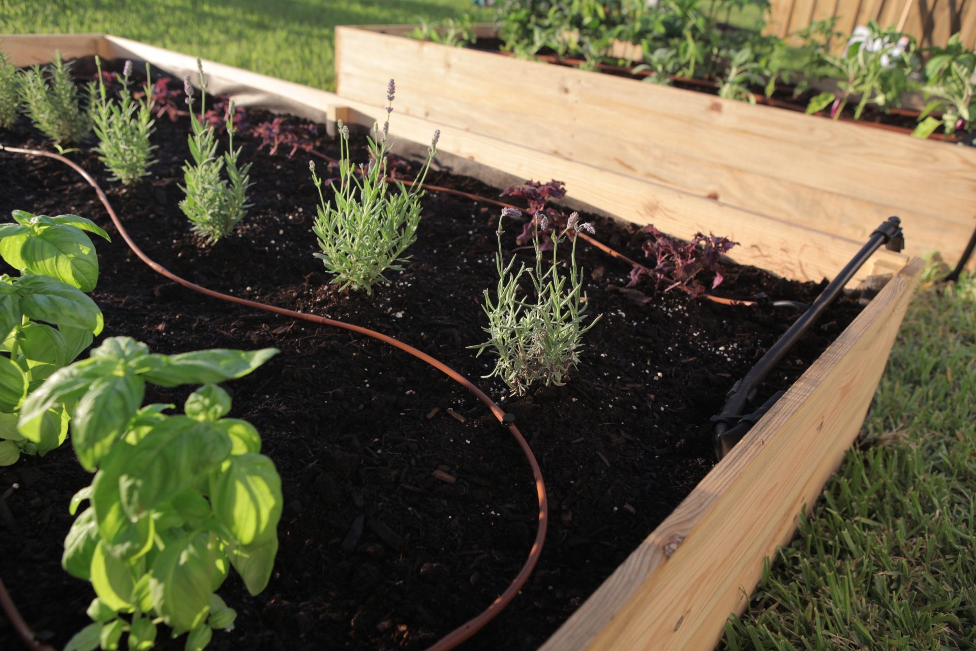 Picture of Vegetable Garden Drip Kit-6 in Spacing